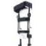 articulaci�n prestride