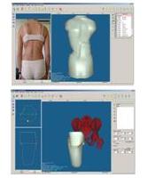 Dos instantaneas del software Rodin 4d