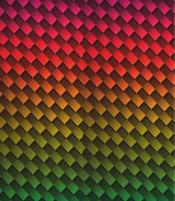 forro otif rainbow