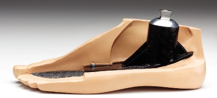 Corte longitudinal de un pie sach con adaptador de titanio